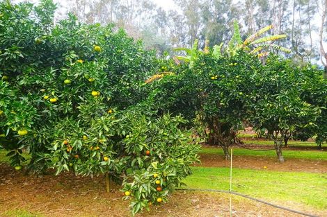 Photo of property in 47 Ness Road, Waipapa, Kerikeri, 0295