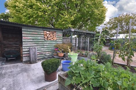 Photo of property in 93 Pembroke Street, Carterton, 5713