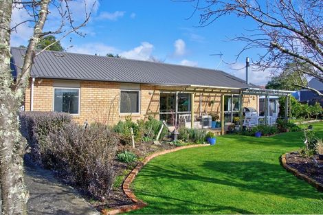 Photo of property in 19 Nash Place, Masterton, 5810