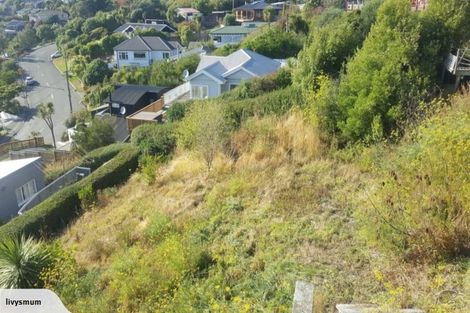 Photo of property in 149a Major Hornbrook Road, Mount Pleasant, Christchurch, 8081