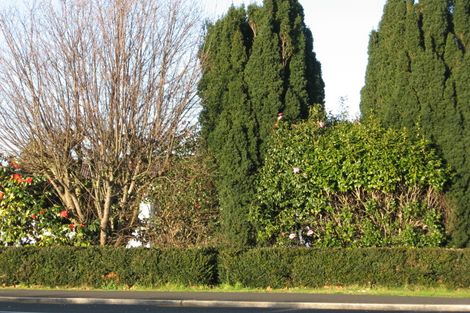 Photo of property in 8 Brooklyn Road, Claudelands, Hamilton, 3214