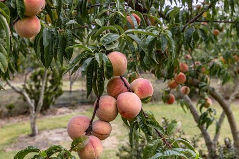 Photo of property in 27 Loburn Whiterock Road, Loburn, Rangiora, 7472