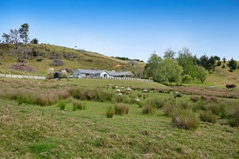 Photo of property in 2265 South Head Road, South Head, Helensville, 0874