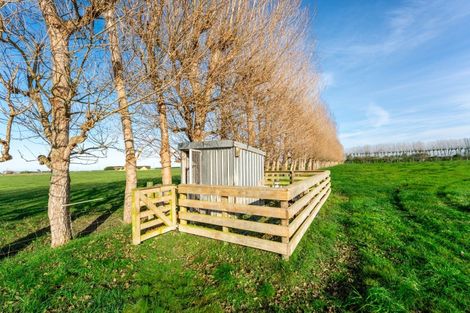 Photo of property in 31 Seaforth Settlement Road, Seadown, Timaru, 7973