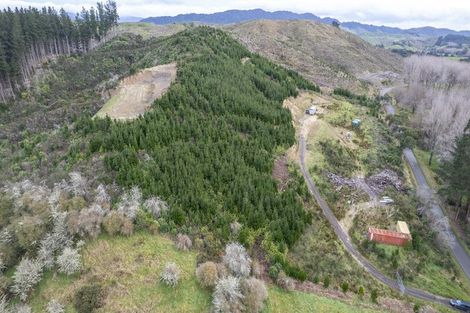 Photo of property in 133 South Road, Solway, Masterton, 5810