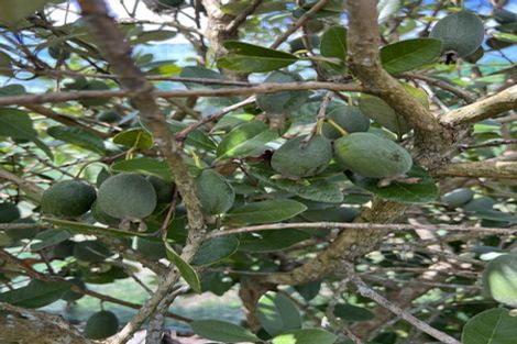Photo of property in 1 Clough Road, Paroa, Greymouth, 7805
