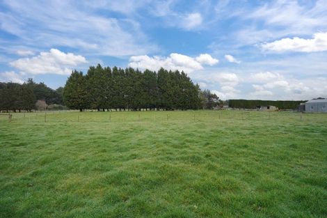 Photo of property in 93 Drysdale Road, Myross Bush, Invercargill, 9872