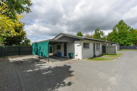Photo of property in 213a Pattison Road, Akina, Hastings, 4122