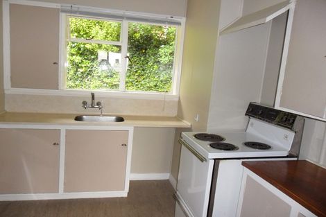 Photo of property in 1 Maori Road, Dunedin Central, Dunedin, 9016