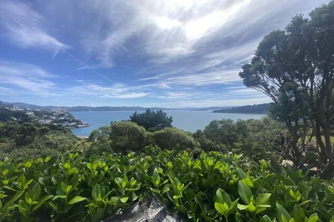 Photo of property in 151 Grafton Road, Roseneath, Wellington, 6011