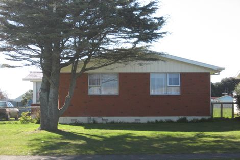 Photo of property in 49 Hinemoa Street, Levin, 5510