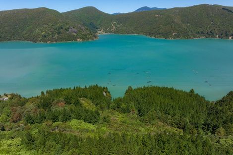 Photo of property in 4954 Kenepuru Road, Ohauparuparu Bay, Picton, 7282