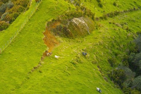 Photo of property in 987 Mangaehu Road, Puniwhakau, Stratford, 4392