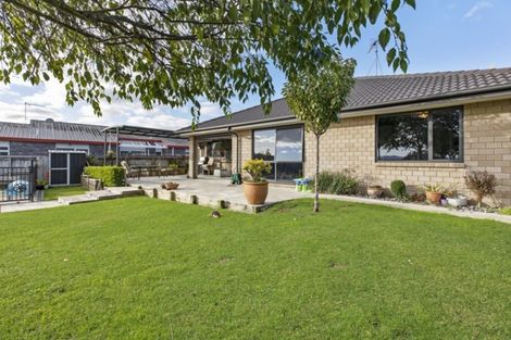 Photo of property in 238 Grandview Road, Western Heights, Hamilton, 3200