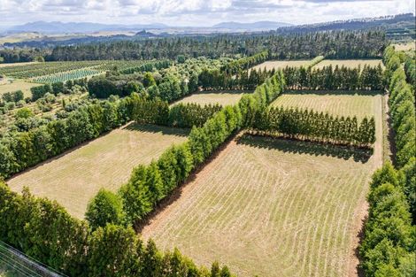 Photo of property in 176 Whatitiri Road, Maungatapere, Whangarei, 0179