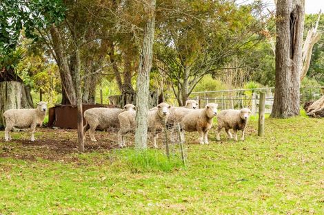 Photo of property in 6b Tangowahine Valley Road, Tangowahine, Dargaville, 0372