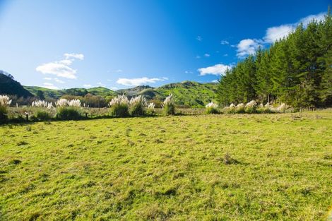 Photo of property in 1247 Wharekopae Road, Ngatapa, Gisborne, 4072