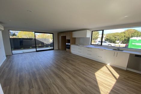 Photo of property in 17a Roxburgh Street, Sydenham, Christchurch, 8023