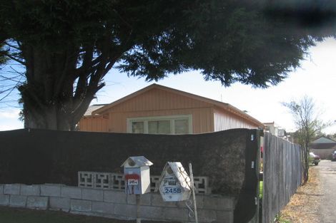 Photo of property in 241b Fifteenth Avenue, Tauranga South, Tauranga, 3112