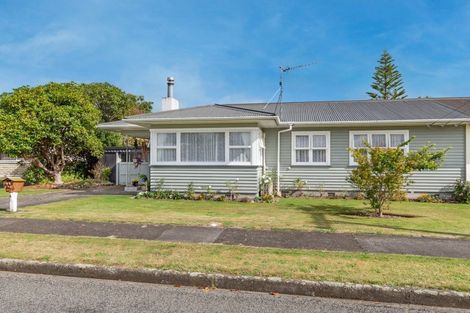 Photo of property in 4 Margaret Street, Levin, 5510