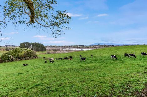 Photo of property in 209 Exelby Road, Burbush, Hamilton, 3288