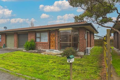 Photo of property in 984c Tremaine Avenue, Roslyn, Palmerston North, 4414