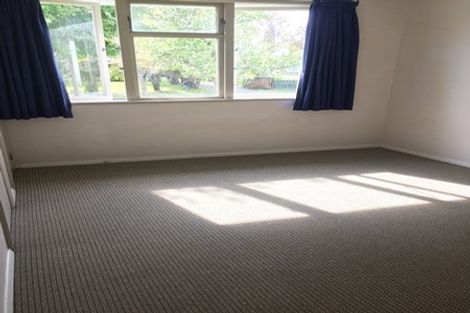 Photo of property in 13 Tasman Street, Havelock North, 4130