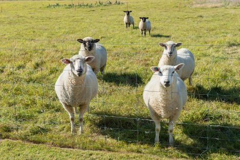 Photo of property in 742 Woodstock Road, Burnt Hill, Oxford, 7495