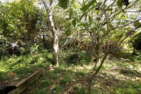 Photo of property in 77 Mould Street, Waitara, 4320