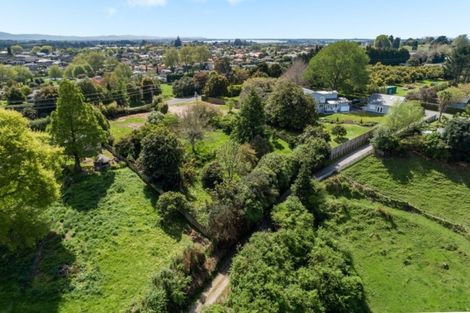 Photo of property in 288 Cambridge Road, Bethlehem, Tauranga, 3110