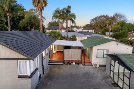 Photo of property in 38 Pinedale Place, Henderson, Auckland, 0610
