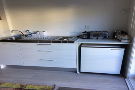 Photo of property in 45 Anglesea Street, Freemans Bay, Auckland, 1011