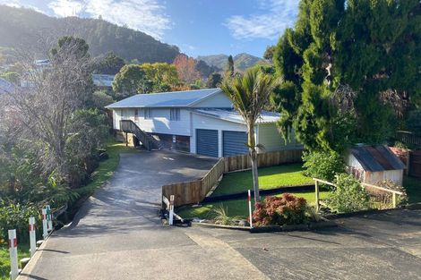 Photo of property in 306 Sandes Street, Thames, 3500