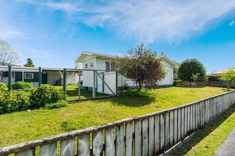 Photo of property in 20 Hingaia Street, Turangi, 3334