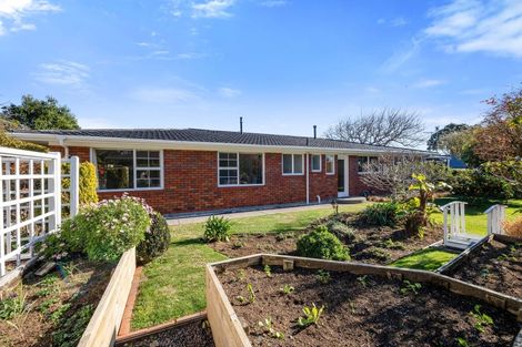 Photo of property in 293 Mangorei Road, Merrilands, New Plymouth, 4312