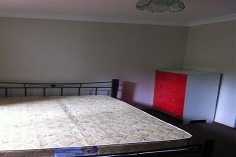 Photo of property in 36 Littlebourne Road, Roslyn, Dunedin, 9010