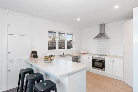 Photo of property in 38 Springbank Street, Bryndwr, Christchurch, 8053