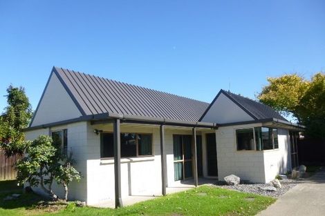 Photo of property in 14a Alexander Street, Tauranga South, Tauranga, 3112