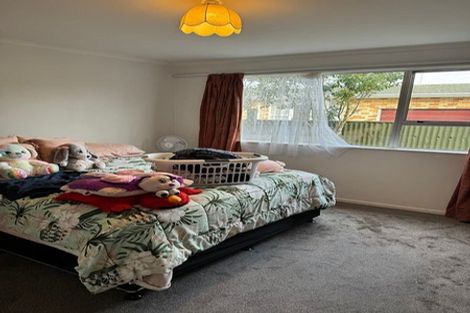 Photo of property in 246 Ferguson Street, Palmerston North, 4410