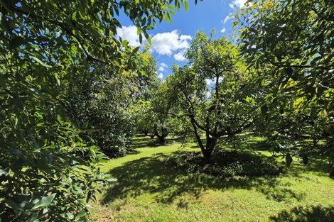 Photo of property in 112 Ruahihi Road, Omanawa, Tauranga, 3171