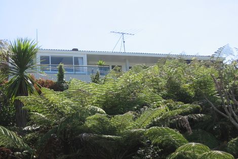 Photo of property in 56 Beach Road, Castor Bay, Auckland, 0620