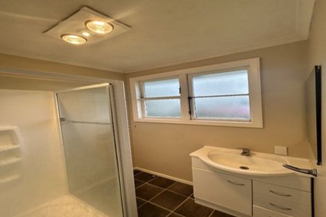 Photo of property in 641 Featherston Street, Roslyn, Palmerston North, 4414