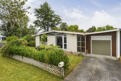 Photo of property in 6b Wyndham Street, Awapuni, Palmerston North, 4412