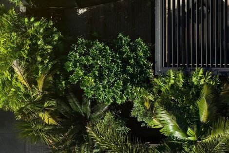 Photo of property in 18b Maunganui Road, Mount Maunganui, 3116