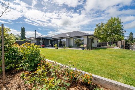 Photo of property in 79a Mckenzie Street, Geraldine, 7930