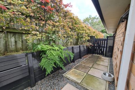 Photo of property in 87 Merriman Place, Pyes Pa, Tauranga, 3112
