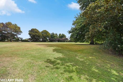 Photo of property in 54 Ellerslie Avenue, Chartwell, Hamilton, 3210