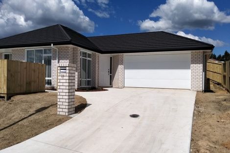 Photo of property in 29 Trans Tasman Way, Pyes Pa, Tauranga, 3112