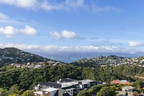 Photo of property in 46 Winston Street, Crofton Downs, Wellington, 6035