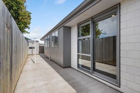 Photo of property in 23b Brewer Street, Blenheim, 7201